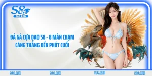 Đá Gà Cựa Dao S8 - 8 Màn Chạm Căng Thẳng Đến Phút Cuối